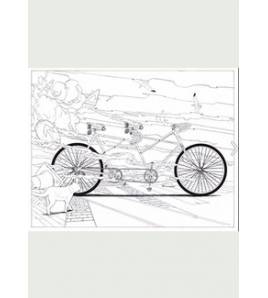 Viaje al fin del mundo en bicicleta Ilustraciones 978-84-16497-13-3 Shan Jiang