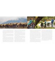 España en bici: Cicloturismo de alforjas, sosegado, poético y sensual Guías / Viajes 978-8415802693