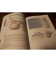 Anatomía del triatleta|Mark Klion|Entrenamiento Triatlón|9788479029609|LDR Sport - Libros de Ruta