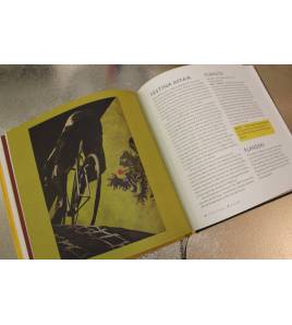 P is for Peloton|Suze Clemitson (Author), Mark Fairhust (Illustrator)|Ciclismo|9781472912855|LDR Sport - Libros de Ruta