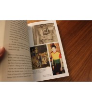 Triumphs and Turbulence: My Autobiography |  |  | 9780091951764 | LDR Sport - Libros de Ruta